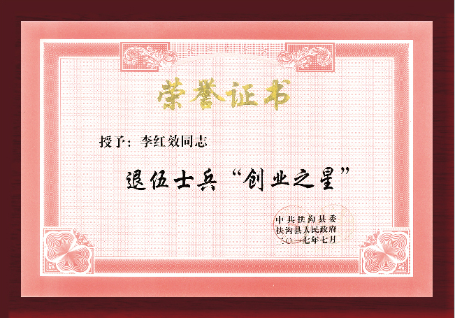 榮譽(yù)證書(shū)